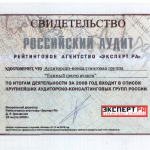 Эксперт РА Аудит 2008 Эксперт РА Аудит 2008