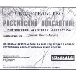 Эксперт РА 2006